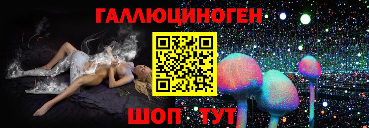Галлюциногенные грибы Psilocybine cubensis Жуковский